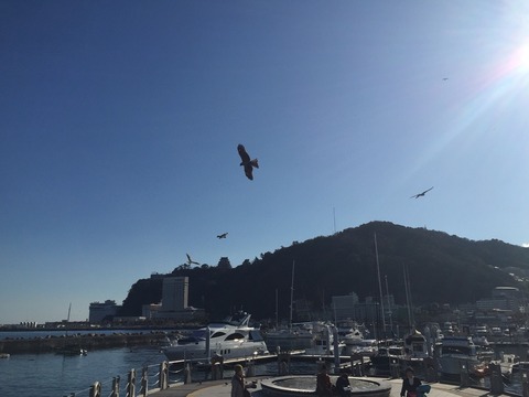 2015-02-02-14-07-31