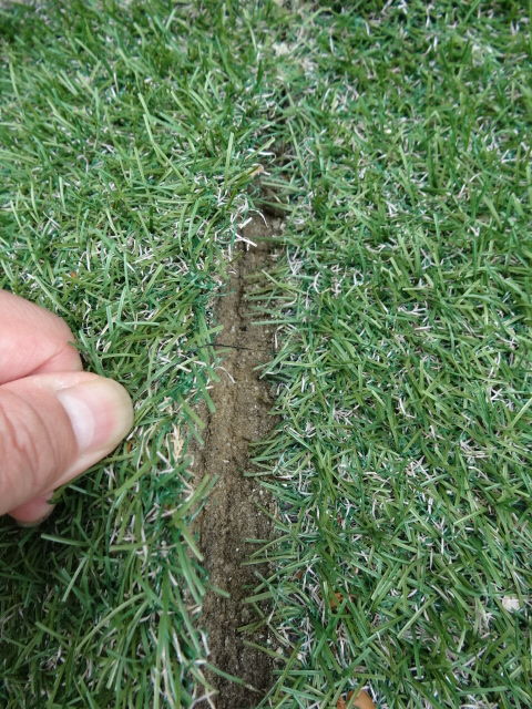 簡単 リアル人工芝の敷き方 Diyアドバイザーyukiのｄｉｙ日和