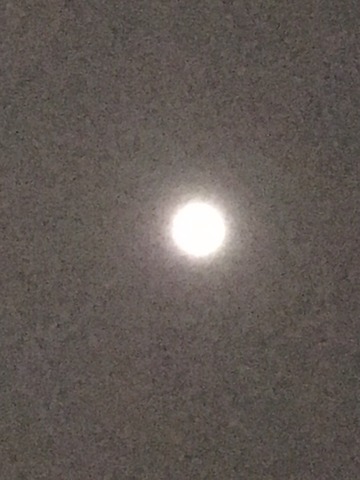 0135f48c.jpg