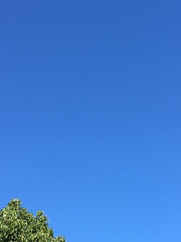 715950aa.jpg