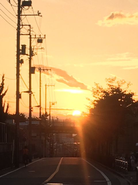 c74d65d7.jpg