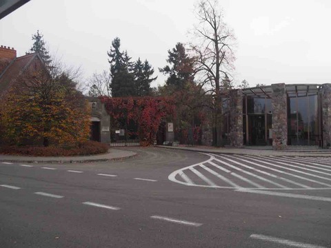 PA240537