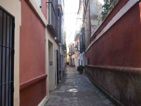 P2010003