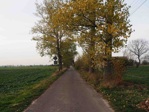 PA260535