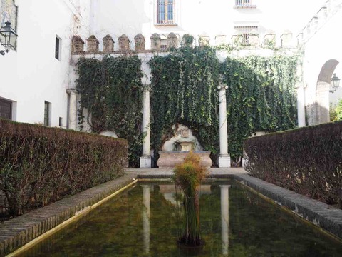 P2010016
