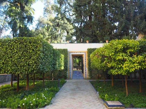 P2010043
