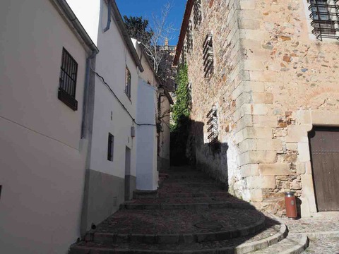 P1190008