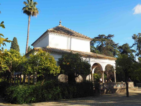 P2020049