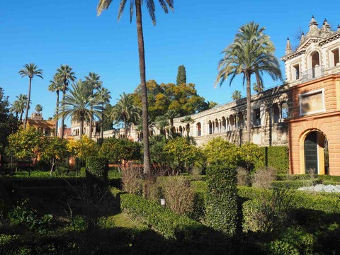 P2020050