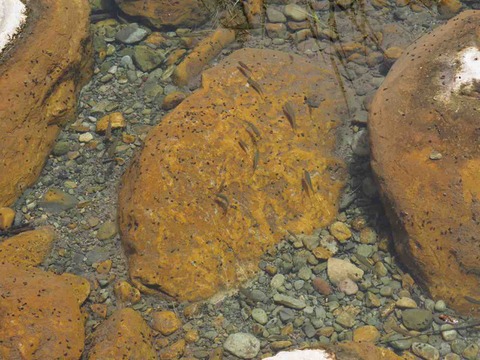 P7300062
