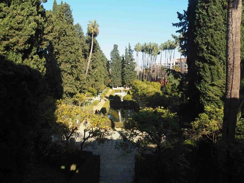 P2020053