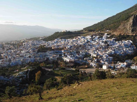 P2120053