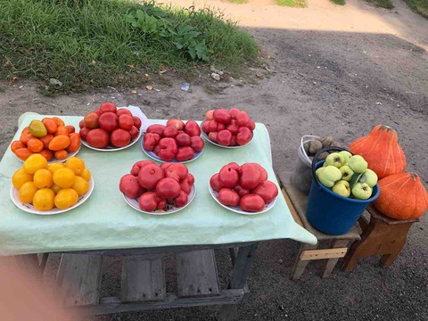 IMG_5264