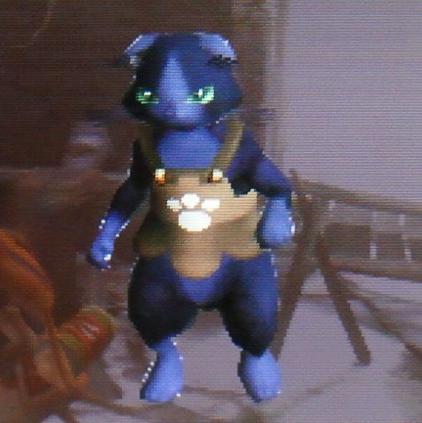 未来のブーメラン特化猫候補 モンハン活動記 雪月花