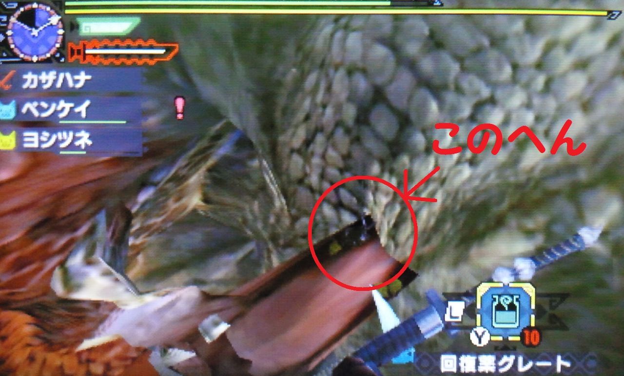 村 3緊急とアレの確認 モンハン活動記 雪月花