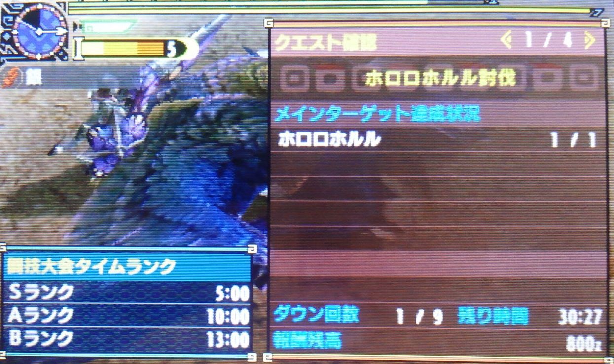 ホロロホルル討伐 ソロ初回記録 ゲーム活動記 雪月花