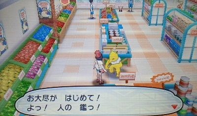 ﾎﾟｹﾓﾝｻﾝ 四つ巴 バトルロイヤル モンハン活動記 雪月花