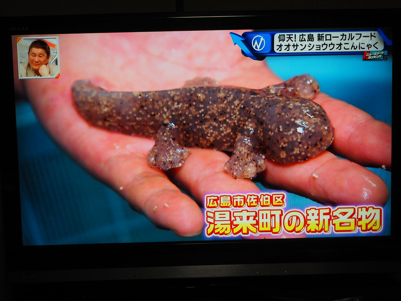 湯来は今、オオサンショウウオこんにゃくが熱い!ですよ。 : つりのあとも、楽しい! 湯来つり堀。 - 1f882f6f