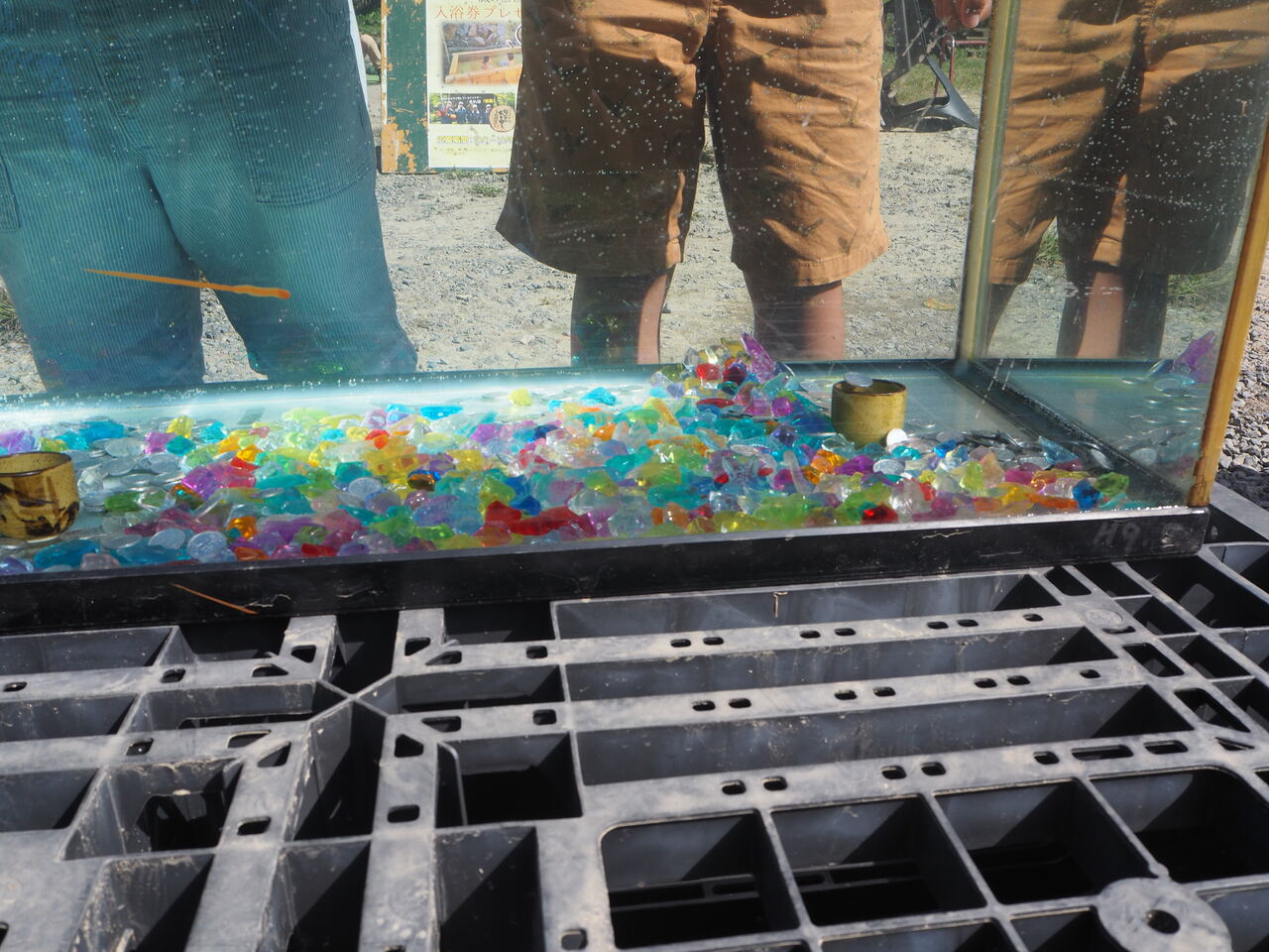 ムズくて楽しい「水中コイン落としゲーム！」やってますよ！！ : つりのあとも、楽しい！ 湯来つり堀。