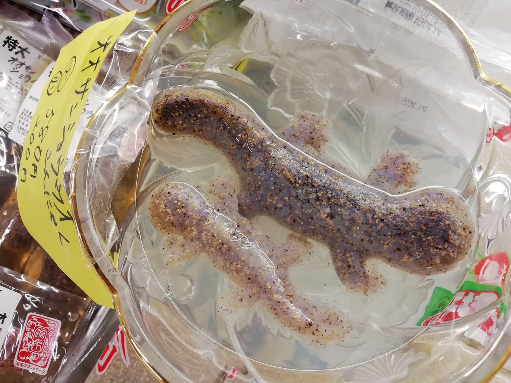 世界初!? キモカワ!オオサンショウウオこんにゃくをつくろう! こんどの土日は湯来でめずらしい体験を! : つりのあとも、楽しい! 湯来つり堀。 - 7f1c107f