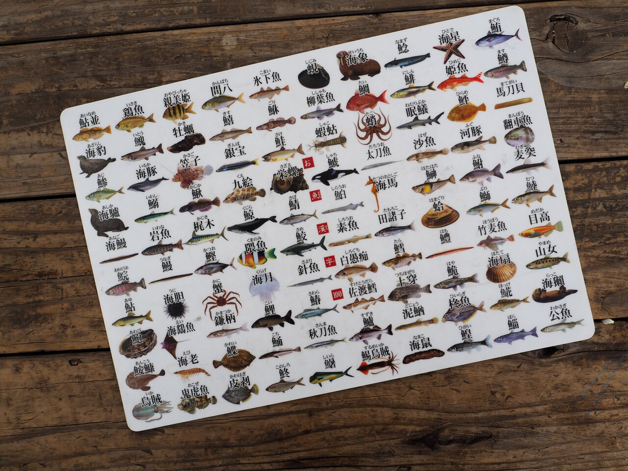 湯来つり堀のあとは どこ行く つりのあとも 楽しい 湯来つり堀