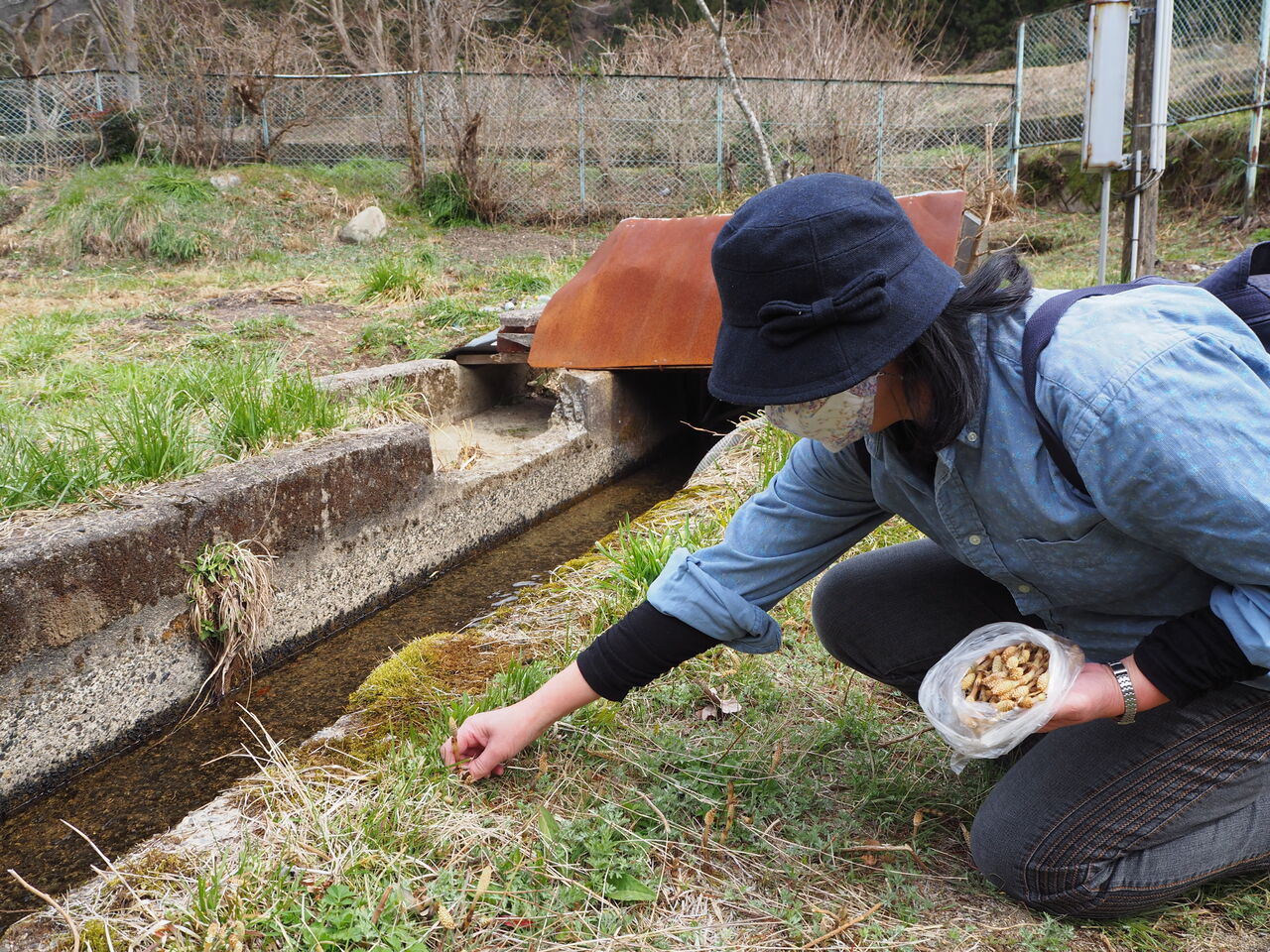 つくしとりも 楽しい つりのあとも 楽しい 湯来つり堀