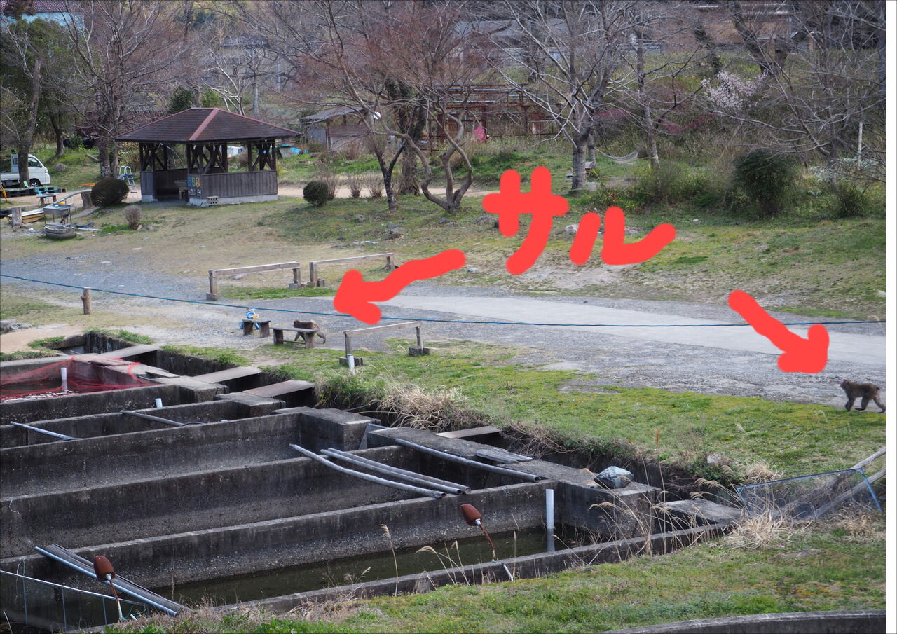 大盛り上がり！！「水中コイン落としゲーム！」。22日まで、やってますよ！ : つりのあとも、楽しい！ 湯来つり堀。