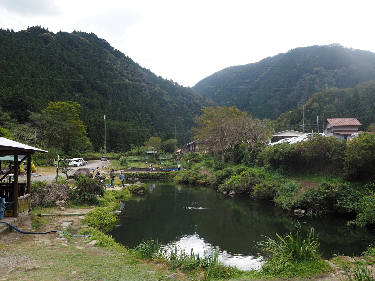 店主が勝手に選ぶ 今日のシャツ つりのあとも 楽しい 湯来つり堀