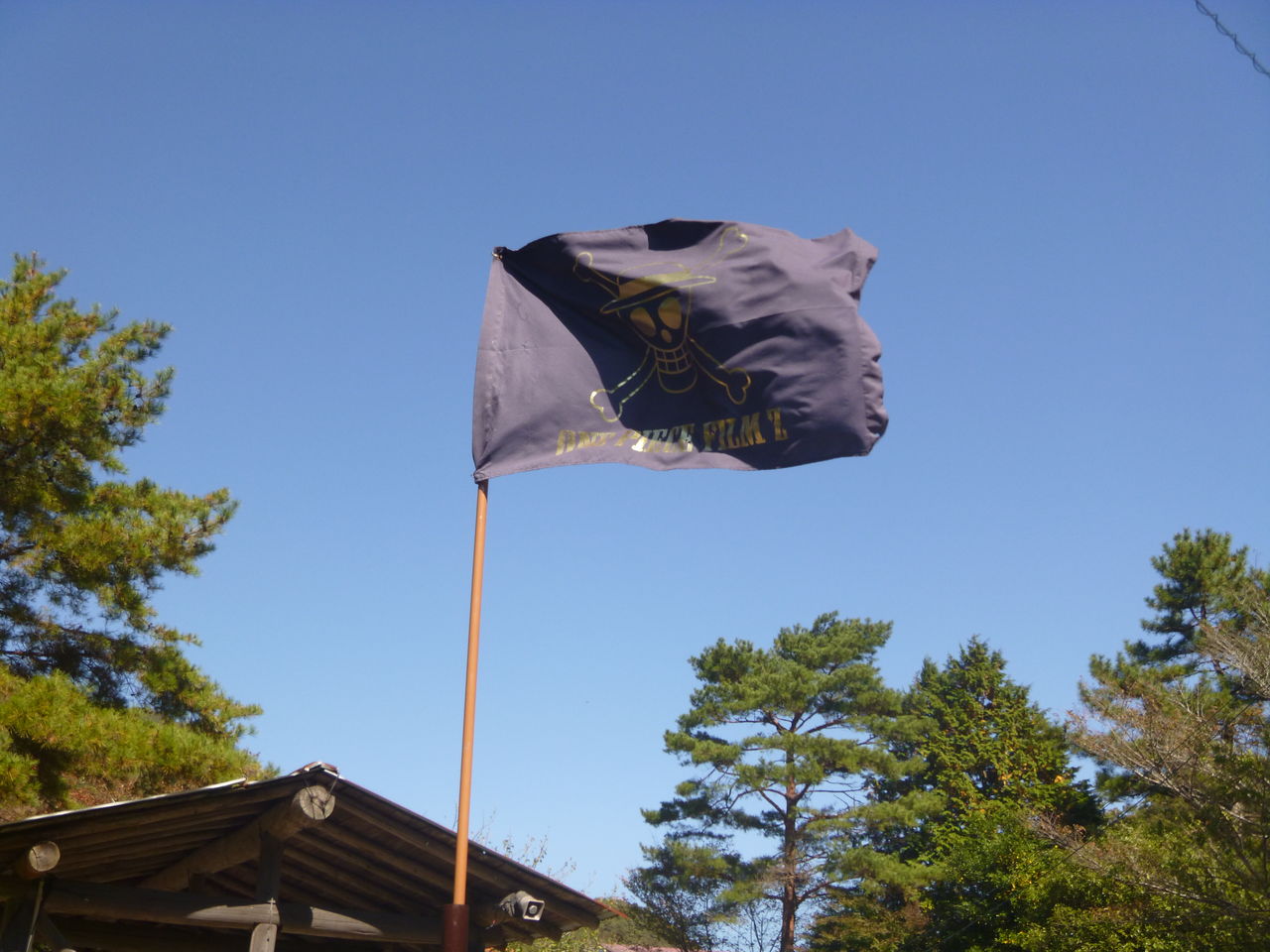 旗がはためく日 しゃべれない英語 つりのあとも 楽しい 湯来つり堀