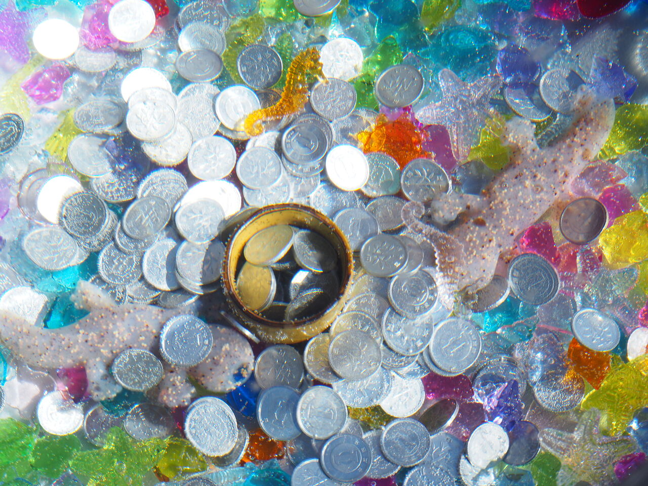 大盛り上がり！！「水中コイン落としゲーム！」。22日まで、やってますよ！ : つりのあとも、楽しい！ 湯来つり堀。