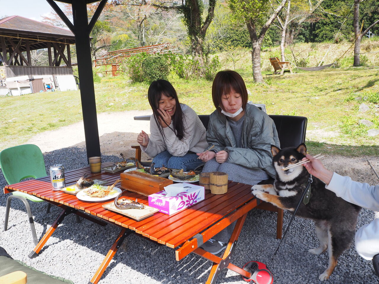 今週末は つり堀日和 つりのあとも 楽しい 湯来つり堀 今週末は つり堀日和 つりのあとも 楽しい 湯来つり堀