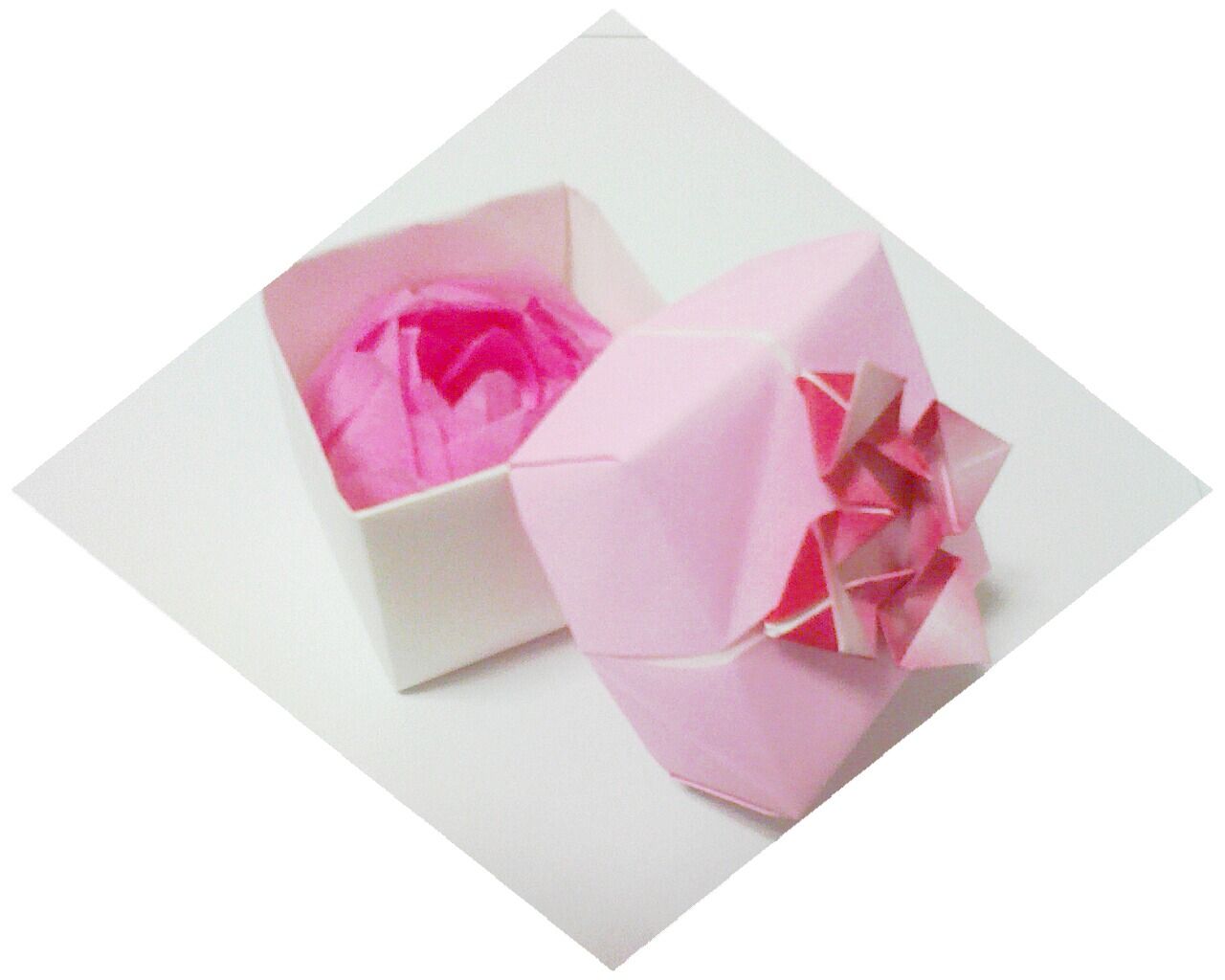 折り花 はすのはな すいれん ゆきうさぎのyahoo Blog