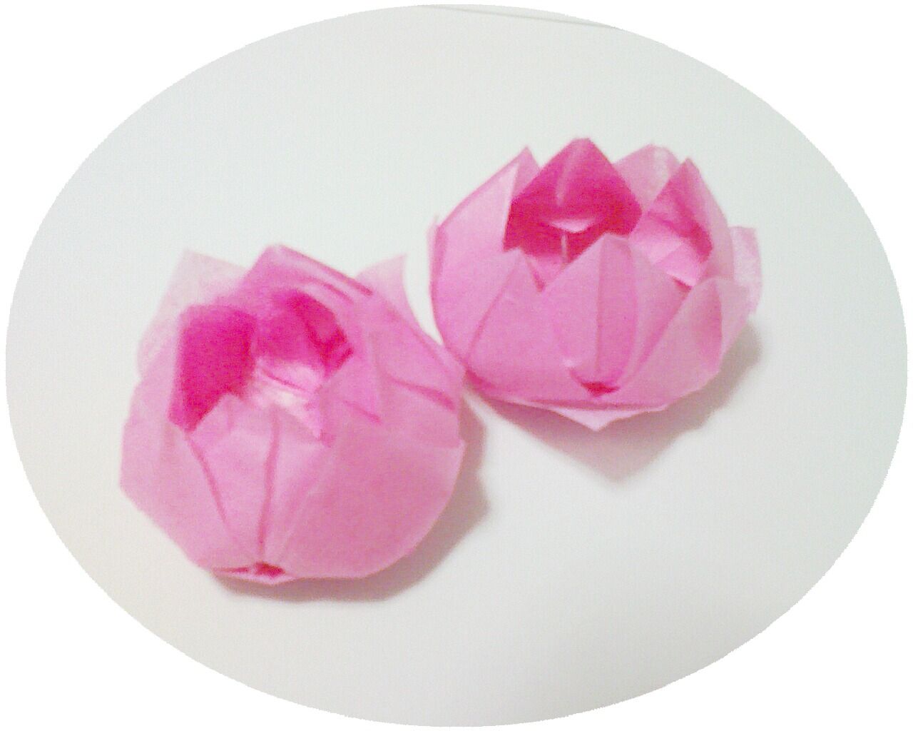 折り花 はすのはな すいれん ゆきうさぎのyahoo Blog