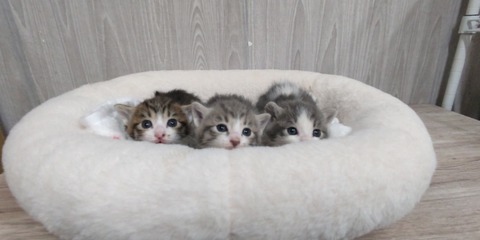 STORYPIC_00003974_BURST220430201352