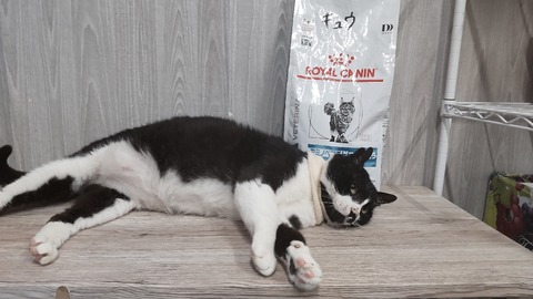 TRIPART_0001_BURST20220503114048016_COVER