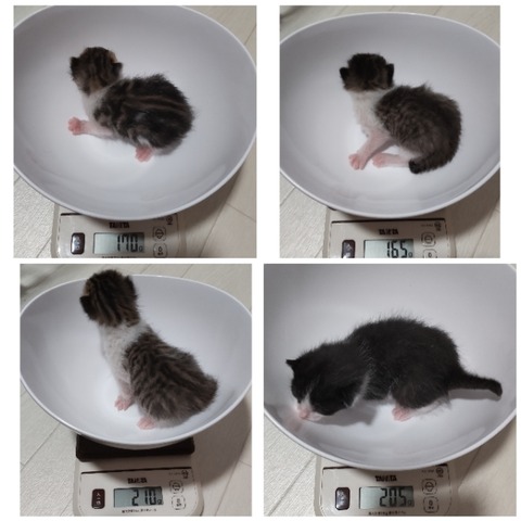 CollageMaker_20220603_003926678