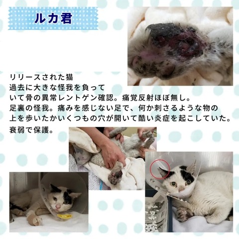 CollageMaker_20220511_234002037