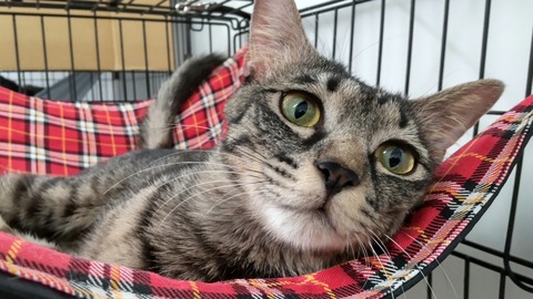 CENTER_0002_BURST20220803191629072