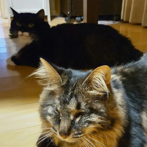 IMG_20220324_022117_147