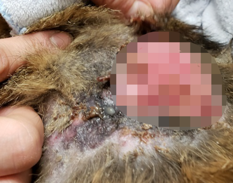 Point Blur_20220316_151735