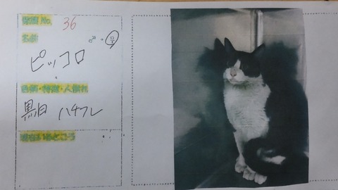 21-12-27-02-00-41-137_deco