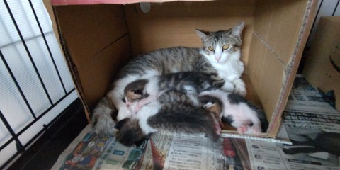 STORYPIC_00070595_BURST220602170225