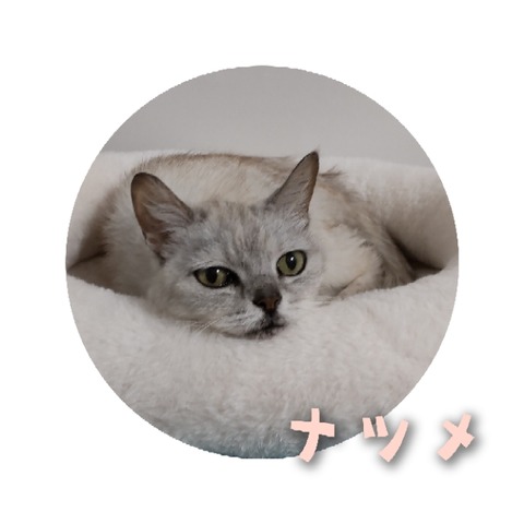 GridArt_20220724_173531829