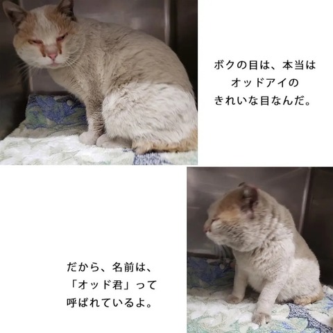 IMG_20220320_135600_270