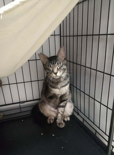 22-08-23-02-18-39-764_deco