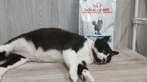 TRIPART_0002_BURST20220503114048016