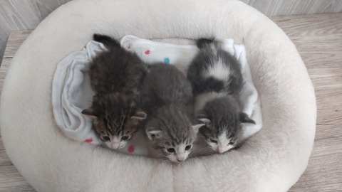 STORYPIC_00044028_BURST220430201352