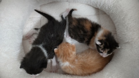 CENTER_0001_BURST20220813174651110_COVER