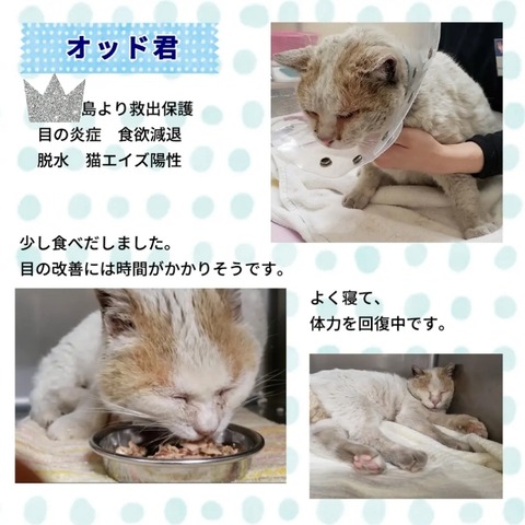 CollageMaker_20220505_004000152