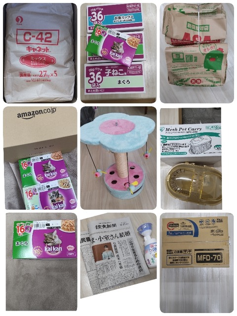 22-02-07-14-18-53-076_deco